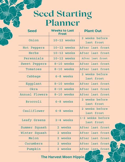 Get your FREE copy of this Seed starting and Direct sowing planner. Approach the garden season with confidence. #HomeDecor #DecorInspiration #HomeInspiration #HomeStyle #DecorTips #InteriorDesign #InteriorInspo #HomeIdeas #HomeDecorating #HouseGoals Starting An Herb Garden Indoors, Starting Veggies From Seeds, When To Start A Raised Garden, Seed Starting Tips, Garden Timeline Seed Starting, Starting From Seeds Indoors, How To Start Gardening Vegetables, When To Start Vegetable Seeds Indoors, Begginer Garden Layout