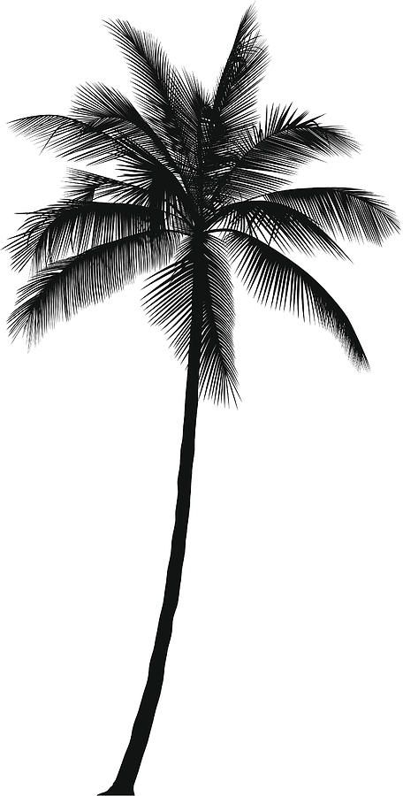 Cartoon Palm Tree, Tato Suku, Palm Tree Drawing, Seni Mural, Tattoo Tree, Palm Tattoos, Palm Tree Silhouette, Tree Tattoo Designs, Palm Tree Tattoo