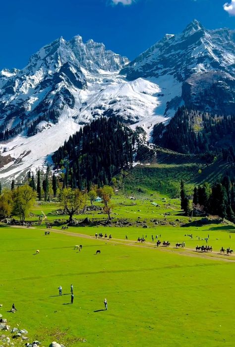 Sonmarg #Kashmir India 🇮🇳 Sonmarg Kashmir, Mountains In India, India Landscape, Kashmir Trip, Beautiful Beach Scenes, Kashmir India, Thick Blanket, Travel Pictures Poses, Beautiful Locations Nature