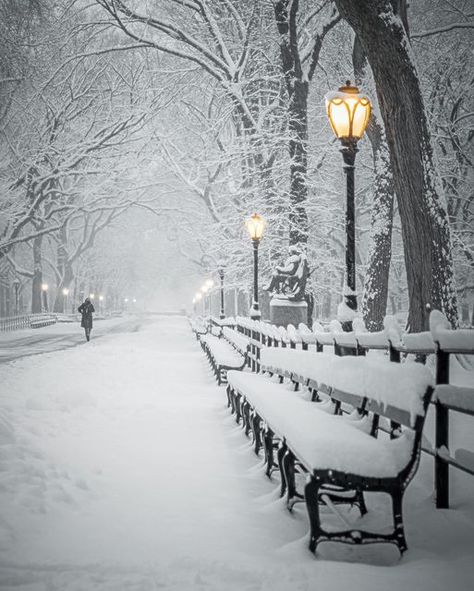 Narnia Snow, Central Park Nyc, Rare Images, Winter Inspo, Sunday Evening, City Aesthetic, Narnia, Winter Time, Winter Scenes