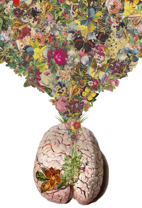 New Anatomical Collages by Travis Bedel http://www.thisiscolossal.com/2014/10/new-anatomical-collages-by-travis-bedel/ Travis Bedel, Brain Art, Tumblr Art, Surreal Collage, Medical Art, Art Et Illustration, Art And Illustration, Anatomy Art, The Brain