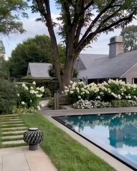 Ashley Stark Kenner | Hamptons ready. So in need of a long weekend. Favorite landscaping @ed_hollander #hamptons #landscape #landscape_lovers #gardendesign… | Instagram Hamptons Backyard Landscaping, Hamptons Backyard, Ashley Stark, Landscape Landscape, Pool Patio, Rye, Long Weekend, Garden Inspiration, Backyard Landscaping