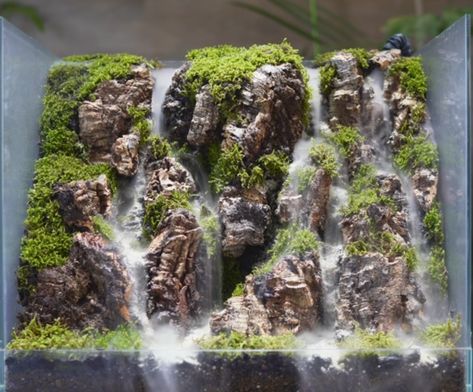 Vivarium Ideas, Terrarium Design, Water Wall Fountain, Wall Fountain, Water Walls, Terrarium Plants, Vivarium, Aquascaping, Fish Tank