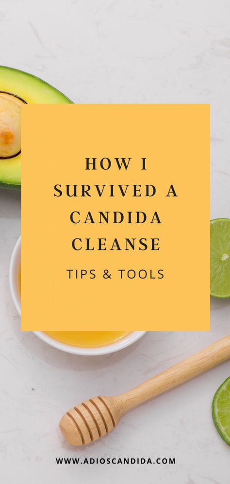 Candida Cleanse Diet, Candida Recipes, Cleansing Drinks, Candida Diet Recipes, Candida Cleanse, Body Detox Cleanse, Detox Kur, Cleanse Diet, Candida Diet