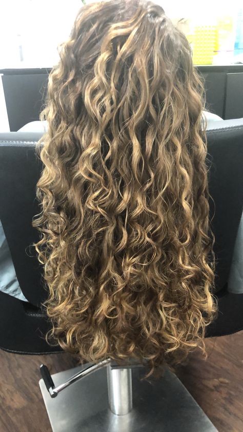 Blended Highlights Curly Hair, Highlights For Light Brown Curly Hair, Curl Hair With Highlights, 2c Hair With Highlights, Highlights On Blonde Curly Hair, Long Curly Hair With Blonde Highlights, Curly Wavy Highlights, Blonde Hilights Curly Hair, Light Highlights On Curly Hair