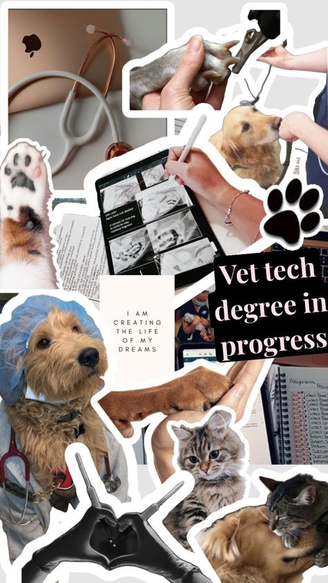 Aesthetic Vet Pictures, Vet Pictures, Vet School Motivation, Veterinarian Technician, Vet Tech School, Vet Tech Student, Animal Infographic, Vet Technician, Veterinary School