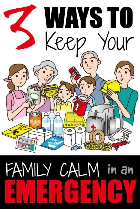 3 Ways to Keeping Your Family Calm in an Emergency | Prepared-Housewives.com | #prepbloggers #family Family Emergency Plan, Prepper Gear, Survival Ideas, 72 Hour Kits, Survival Stuff, Dorothy Gale, Family Emergency, Emergency Preparation, Safety 1st