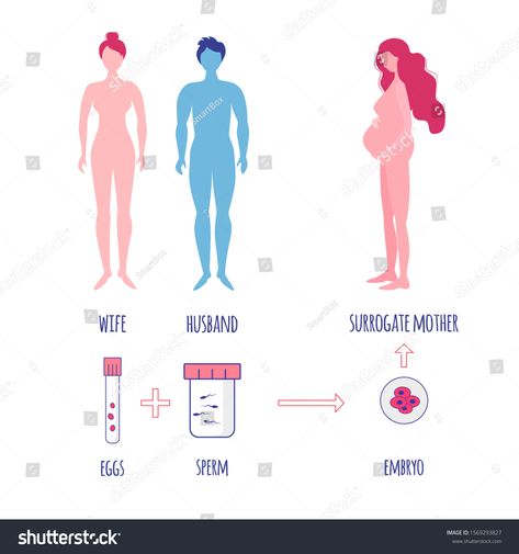 Embryonic Development, Medical Coder, Surrogate Mother, In Vitro Fertilization, In Vitro, Baby Illustration, Empath, Presentation Template, Presentation Templates