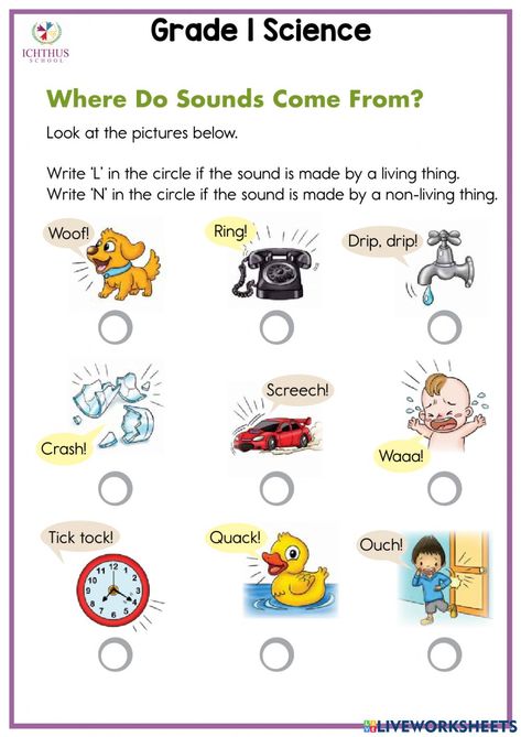 Sound Worksheets Science Grade 1, Adverbs Worksheet, English Corner, Sound Science, Holiday Worksheets, English Grammar Worksheets, Printables Free Kids, Animal Sounds, Science Units