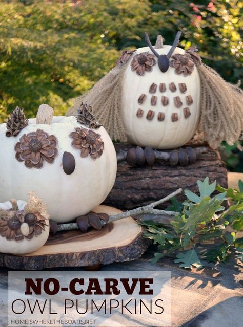 A woman cuts up pine cones—look at her adorable fall pumpkin idea! Pumkin Decoration, Xmas Projects, Owl Pumpkin, No Carve Pumpkin Decorating, Easy Pumpkin Carving, Pumpkin Contest, Pumpkin Topiary, Pumpkin Art, Diy Pumpkin