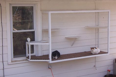 Best Cat Terrace Window Door Kit | Outdoor DIY Cage for Window - Catterrace Cat Tunnel Outdoor Window, Cat Patio Enclosure Window, Cat Door Window Insert, Diy Cat Window Box Ideas, Cat Window Perch Outdoor, Window Catio Ideas For Cats Outdoor, Cat Runs Outdoor, Diy Cat Door In Door, Window Catio Diy