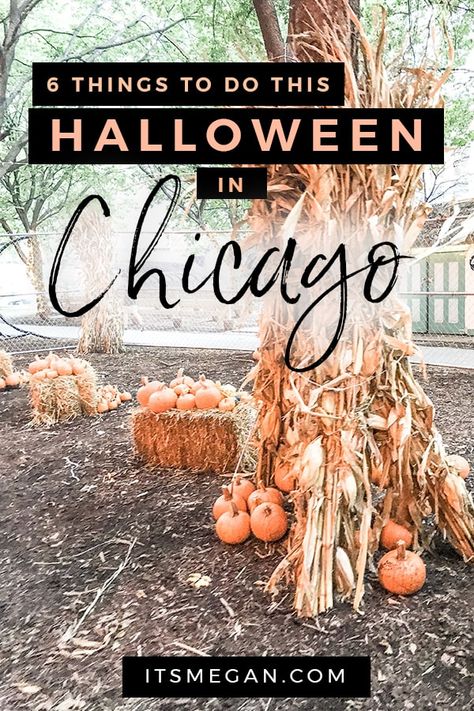 Chicago In October, Chicago Halloween, Halloween Destinations, Halloween Attractions, Chicago Travel Guide, Friendsgiving Decorations, Chicago Trip, Fall Dates, Spooky Places