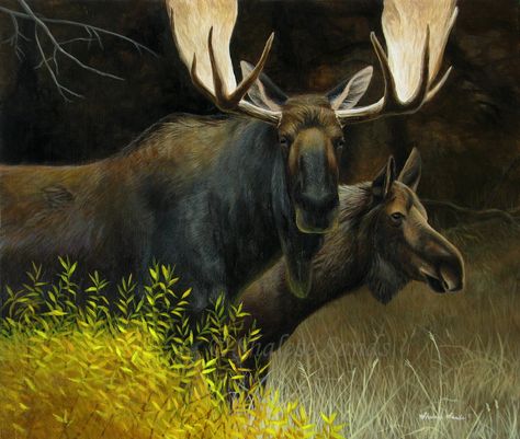 The Sights of Fall by ~Misted-Dream on deviantART Moose Painting, Moose Pictures, Wildlife Prints, Deer Art, Wildlife Paintings, Wildlife Artists, The Mist, Wild Life, Cool Paintings