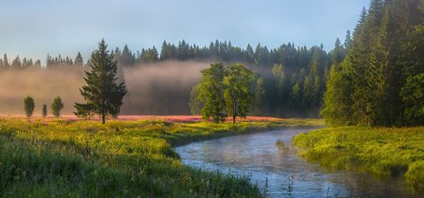 Landscape Dark, Panorama Photography, Beautiful Landscape Paintings, Landscape Photography Nature, Landscape Artwork, Landscape Trees, Painting Photos, Oil Painting Landscape, Landscape Photos