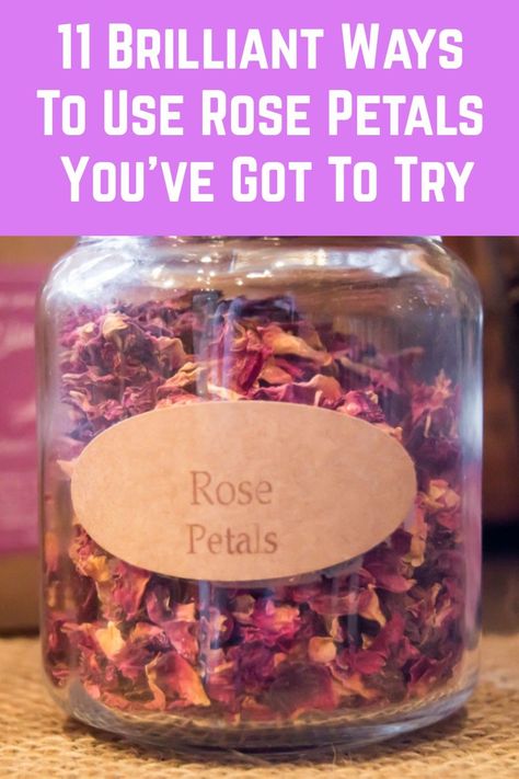 Rose Petals Craft, Rose Petal Uses, Homemade Rose Water, Fresh Rose Petals, How To Make Rose, Rose Recipes, Homemade Lotion, Herbal Apothecary, Diy Roses