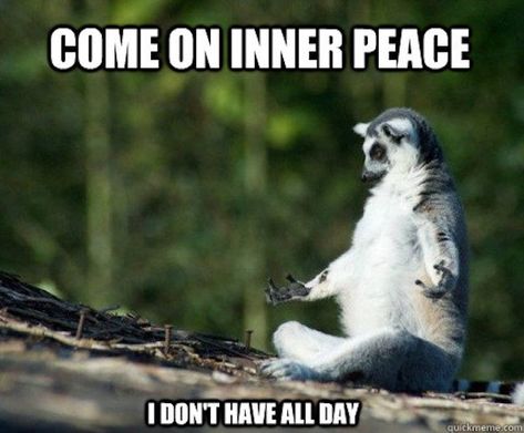 Funny Wednesday Memes, Yoga Jokes, Yoga Meme, Yoga Humor, Yoga Quotes Funny, Wednesday Humor, Happy Wednesday Quotes, रोचक तथ्य, Quotes Thoughts