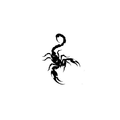 Tattoos For Women Cat, Scorpion Tattoo Design, Bleach Hoodie, Tattoo Catalog, Simple Tattoos For Guys, Ear Tattoo Ideas, Sigil Tattoo, Insect Tattoo, Sharpie Tattoos