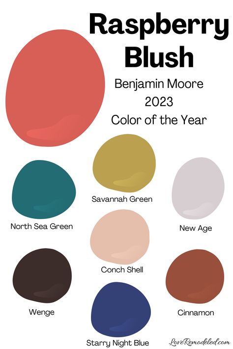 Paint Color Schemes Pink, Bm Raspberry Blush, Raspberry Blush Color Palette, Benjamin Moore Conch Shell, Conch Shell Benjamin Moore, Raspberry Blush Benjamin Moore, Raspberry Paint Color, Blush Benjamin Moore, Benjamin Moore Shadow