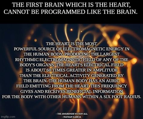 Heart Frequency, Magical Oils, Kemetic Spirituality, The Human Heart, Interesting Science Facts, Spiritual Journals, Center Point, Body Organs, Human Heart