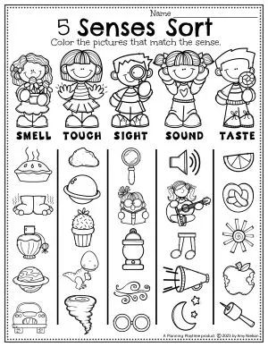 5 Senses Craft, 5 Senses Preschool, 5 Senses Worksheet, Five Senses Worksheet, Rhyming Preschool, Five Senses Preschool, 5 Senses Activities, Me Preschool Theme, Color Worksheets For Preschool