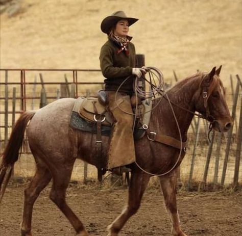 Red Roan Horse, Western Riding Clothes, Roan Horse, Cowgirl Photography, Western Horse Riding, Mode Country, Ranch Riding, Inspirational Horse Quotes, Cow Horse