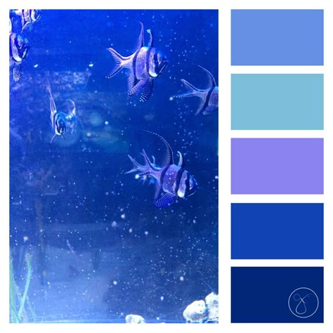 Aquarium (Colour Palette) Undersea Color Palette, Sea Colour Pallete, Deep Sea Colour Palette, Underwater Colour Palette, Under Water Colour Palette, Colour Palette Ocean, Octopus Color Palette, Aquarium Color Palette, Fish Colour Palette