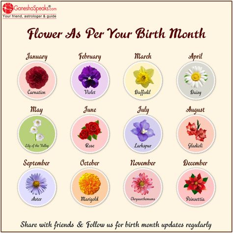 Aquarius Flower Birth Month, Sagittarius Flower Birth Month, Capricorn Flower Birth Month, Gemini Flower Tattoo Birth Month, Taurus Flower Birth Month, Libra Flower Tattoo Birth Month, Pisces Birth Flower, Pisces Flower Tattoo Birth Month, Aries Flower Tattoo Birth Month