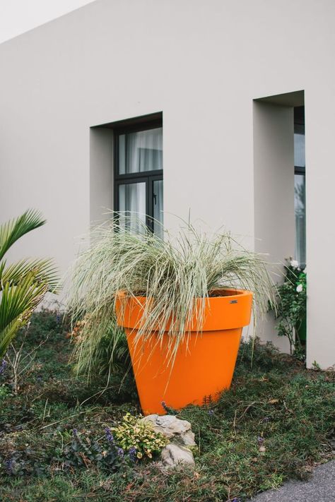 This large orange Madrid 900 planter pot by Modscene makes an awesome statement in this garden. 
Planter pots.
Pot planters.
NZ Made planters. Luxury Planters, Pool Plants, Big Planters, Colorful Planters, Garden Planter, Large Planters, Large Pots, Plastic Pots, Orange Flowers