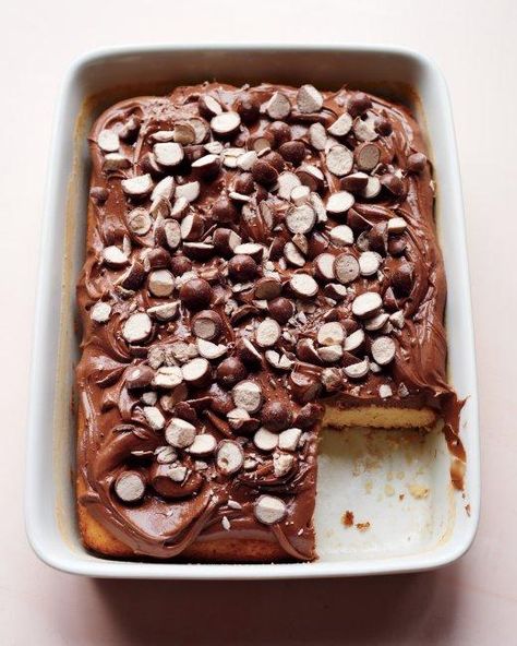 Vanilla Sheet Cake with Malted-Chocolate Frosting Recipe Vanilla Sheet Cake, Milk Balls, Vanilla Sheet Cakes, Cake With Chocolate Frosting, Chocolate Frosting Recipes, Cupcakes Recipes, Chocolate Sheet Cake, Sheet Cake Recipes, Malted Milk