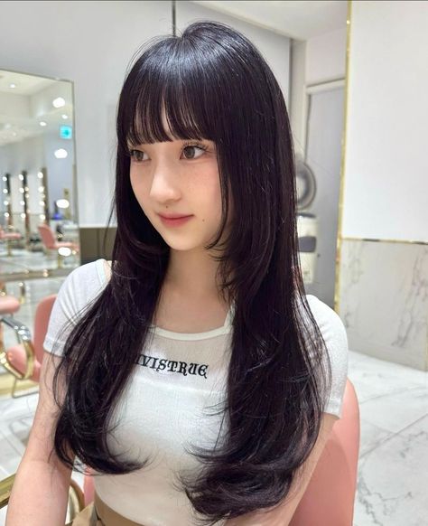 Korean Butterfly Haircut, S Shaped Bangs, Butterfly Cut With Bangs, Japanese Bangs, Butterfly Haircut With Bangs, Hime Haircut, Silky Black Hair, Korean Bangs, Korean Hairstyles