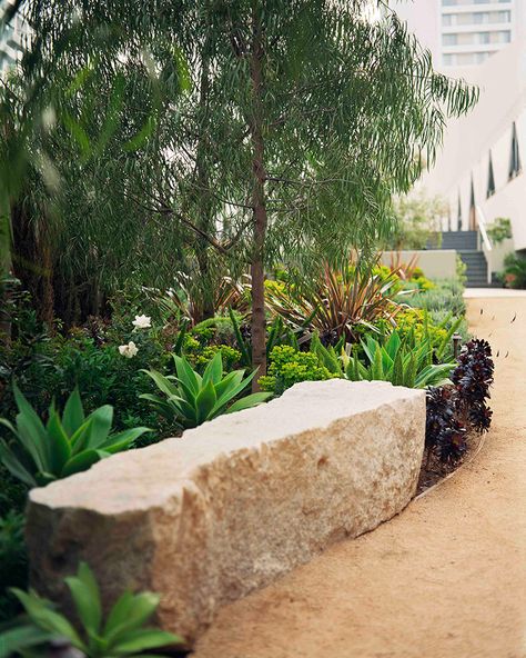 Bench Architecture, Bench Seats, Dry Garden, Stone Bench, Magic Garden, Native Garden, Olive Garden, Garden Seating, Landscaping With Rocks