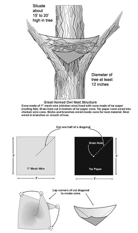 great horned owl nest Owl House Plans, Nesting Boxes Diy, Owl Habitat, Owl Nest Box, Owl Nest, Owl Box, Nest Box, Bird House Plans, Nesting Box