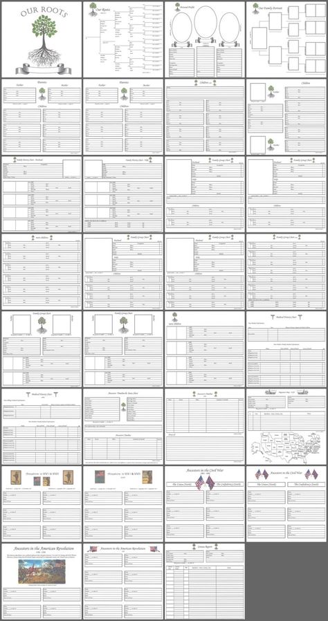 Family History Printables, Family Tree Forms, Ancestry Chart, Free Family Tree Template, Family History Organization, Family Tree Book, Genealogy Tree, Family Tree Printable, Family History Projects