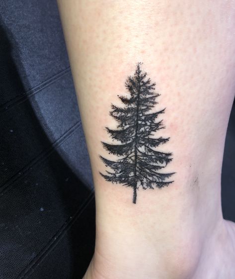 Evergreen tree on the ankle Tree Tattoo Green, Evergreen Tattoo, Redwood Tattoo, Tree Tattoo Ideas, Evergreen Tree Tattoo, Simple Tree Tattoo, Pine Tattoo, Medium Size Tattoos, Tree Tattoo Small