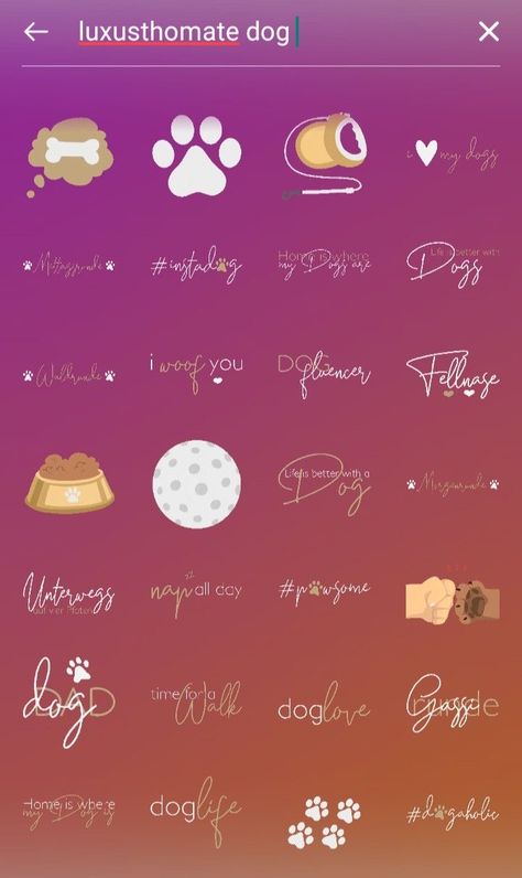 Screen Name, Instagram Story App, Stickers Instagram, Instagram Code, Different Types Of Dogs, Gifs Instagram, Instagram Font, Instagram Editing Apps, Gif Instagram