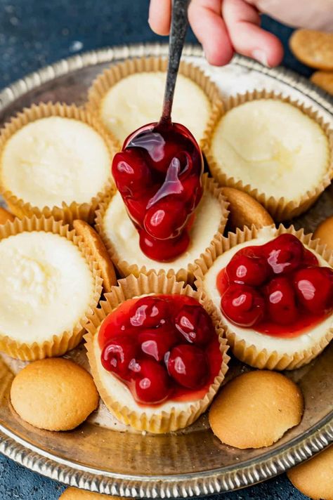 Mini Cheesecake Cups in Muffin Pan | The Best Cake Recipes Cheesecake In Muffin Tins, Mini Cheese Cakes Muffin Tins, Muffin Tin Cheesecake, Cupcake Pan Recipes, Mini Cheesecake Cups, Philadelphia Cream Cheese Recipes, Cheesecake Cups Recipe, The Best Cake Recipes, Mini Cheesecakes Easy