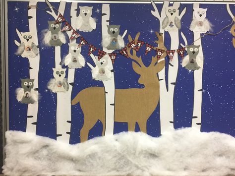 Deer Classroom Theme, Birch Tree Bulletin Board, Winter Animals Bulletin Board Ideas, Deer Bulletin Board Ideas, Woodland Animal Classroom Decor, Winter Tree Bulletin Board, Winter Bulliten Boards For School, Woodland Bulletin Board, Polar Habitat