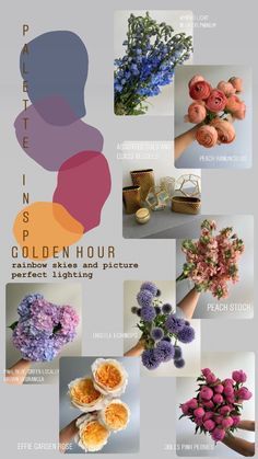 60 Color Schemes ideas in 2022 | wedding flowers, types of flowers, flower names Wedding Flowers Types, Blue Orange Weddings, Orange Purple Wedding, Pink Purple Wedding, Orange And Pink Wedding, Orange Wedding Flowers, Orange Color Palettes, Hydrangea Garden, Peony Wedding