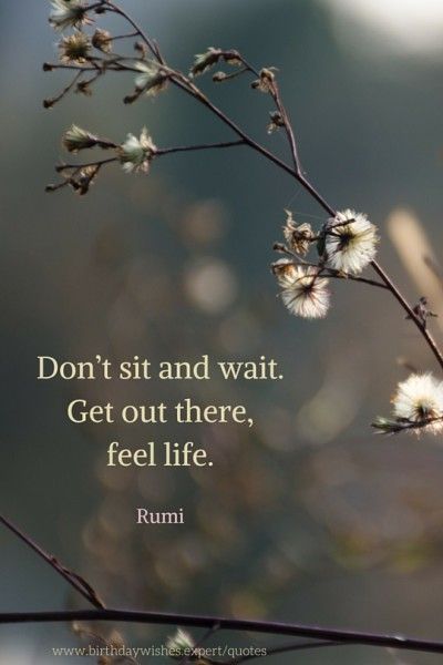 Don’t sit and wait. Get out there, feel life. Motivational Rumi quote: Rumi Poems, Rumi Poem, Rumi Poetry, Rumi Love Quotes, Sufi Mystic, Rumi Love, Motivation Positive, Sufi Poetry, Rumi Quotes