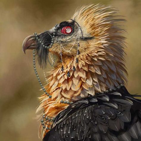 Bearded Vulture - Imgur Bearded Vulture, Vulture Culture, Creature Design, Wildlife Photography, Cool Cats, Beautiful Birds, Animal Drawings, Animals And Pets, Animals Wild