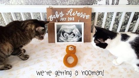 Best Baby Announcement Ideas, Ultrasound Announcement, First Pregnancy Announcements, Baby Announcement Ideas, Unique Pregnancy Announcement, Unique Baby Announcement, Baby Announcement Photoshoot, Fun Baby Announcement, Nerdy Baby