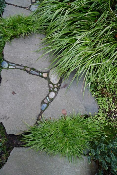 Garden Path Lighting, Flagstone Pathway, Walkways Paths, Garden Walkway, Pebble Mosaic, Stone Path, Garden Path, Mosaic Garden, Garden Pathway