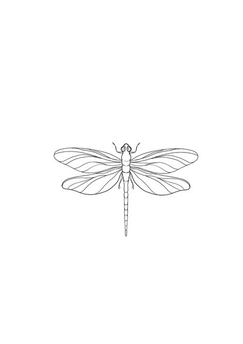 Dragonfly Stencil, Small Dragonfly Tattoo, Girl Shoulder Tattoos, Cuff Tattoo, Becoming A Tattoo Artist, Dragonfly Tattoo Design, Butterfly Stencil, Coffee Tattoos, Dragonfly Tattoo