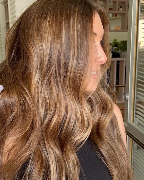 Warm Light Brown Hair, 2023 Hair Color, Caramel Brown Hair, Hair Color Guide, Warm Brown Hair, Honey Hair Color, Golden Brown Hair, Honey Brown Hair, 2023 Hair