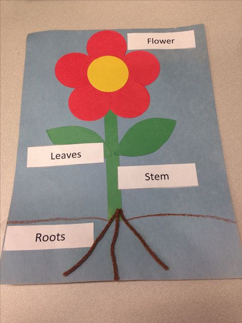 Pre K Spring Science Activities, Spring Plants Crafts Preschool, Parts Of A Flower Crafts Preschool, Spring Has Sprung Preschool Activities, Plants Crafts For Preschool, Spring Has Sprung Crafts For Preschool, Spring Time Art Preschool, Spring Has Sprung Crafts For Kids, 1st Day Of Spring Crafts