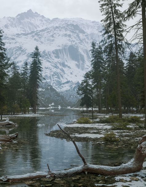 ArtStation - Rocky Mountain Stream Winter Forest Mountain, Landscape Snow Photography, Snowy Mountain Forest, Rocky Mountain Gothic, Cold Mountain Aesthetic, Rocky Mountain Aesthetic, Mountain Village Aesthetic, Rocky Mountains Aesthetic, Snow Mountain Village