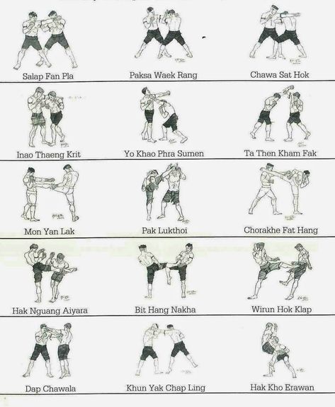 Thai Workout, Boxing Moves, Kickboxing Moves, Muay Thai Techniques, Fighter Workout, Boxing Training Workout, Judo Karate, Mixed Martial Arts Training, Boxe Thai