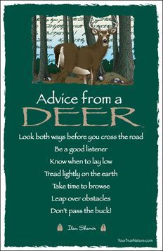 Advice from a DEER  ╰☆╮skymomma╰☆╮ Inspirational Bookmarks, Mother Nature Quotes, Spirit Animal Totem, Animal Spirit Guides, Show Me The Way, Wheel Of Life, Good Listener, Celebrate Life, Spiritual Guides