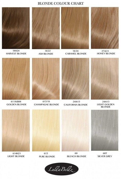 Blond Shades Of Hair, Hair Color For Fine Thinning Hair, Light Sandy Blonde Hair, Going From Blonde To Brown, Champagne Blond, Blonde Hair Color Chart, Cosmo School, Champagne Blonde Hair, Honey Blonde Hair Color