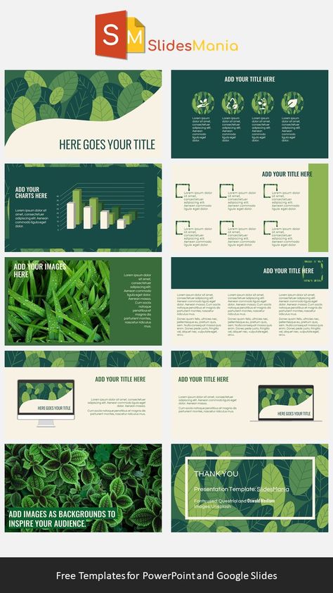 Plant Presentation, Presentation Slides Design, Powerpoint Slide Designs, Presentation Design Layout, Template For Powerpoint, Desain Buklet, Slides Design, Powerpoint Design Templates, Like Green